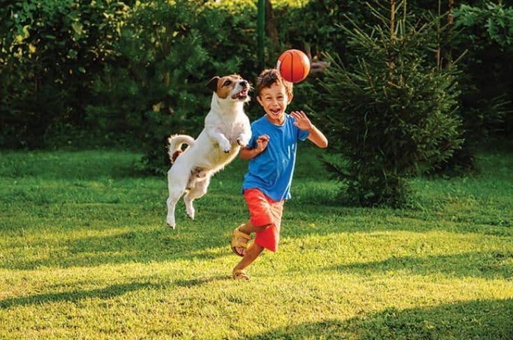 pet friendly parks
