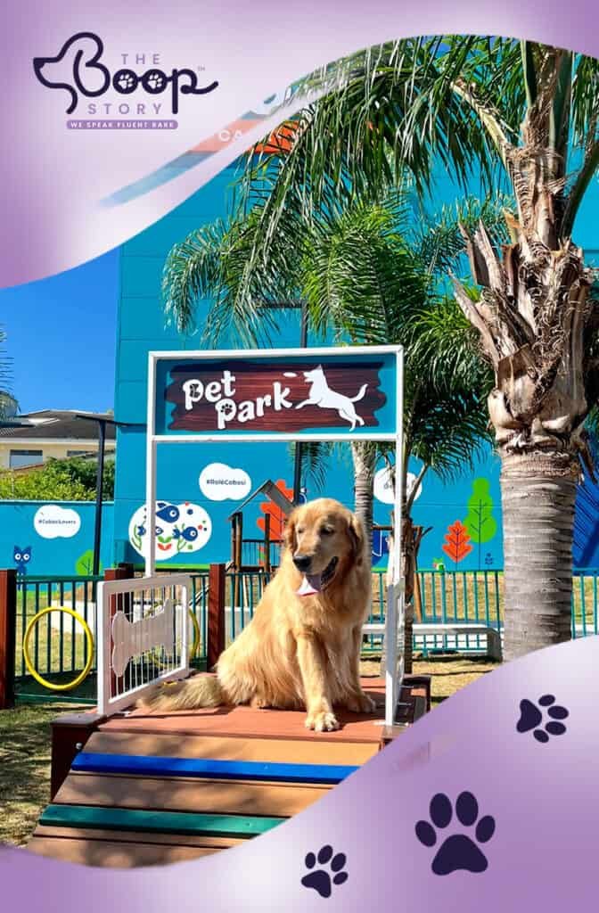 Pet Park Pune