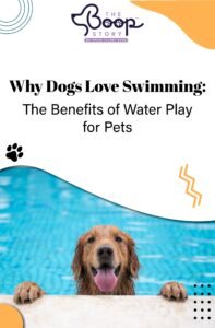 Why Dogs Love Swimming: The Real Perks of Water Play