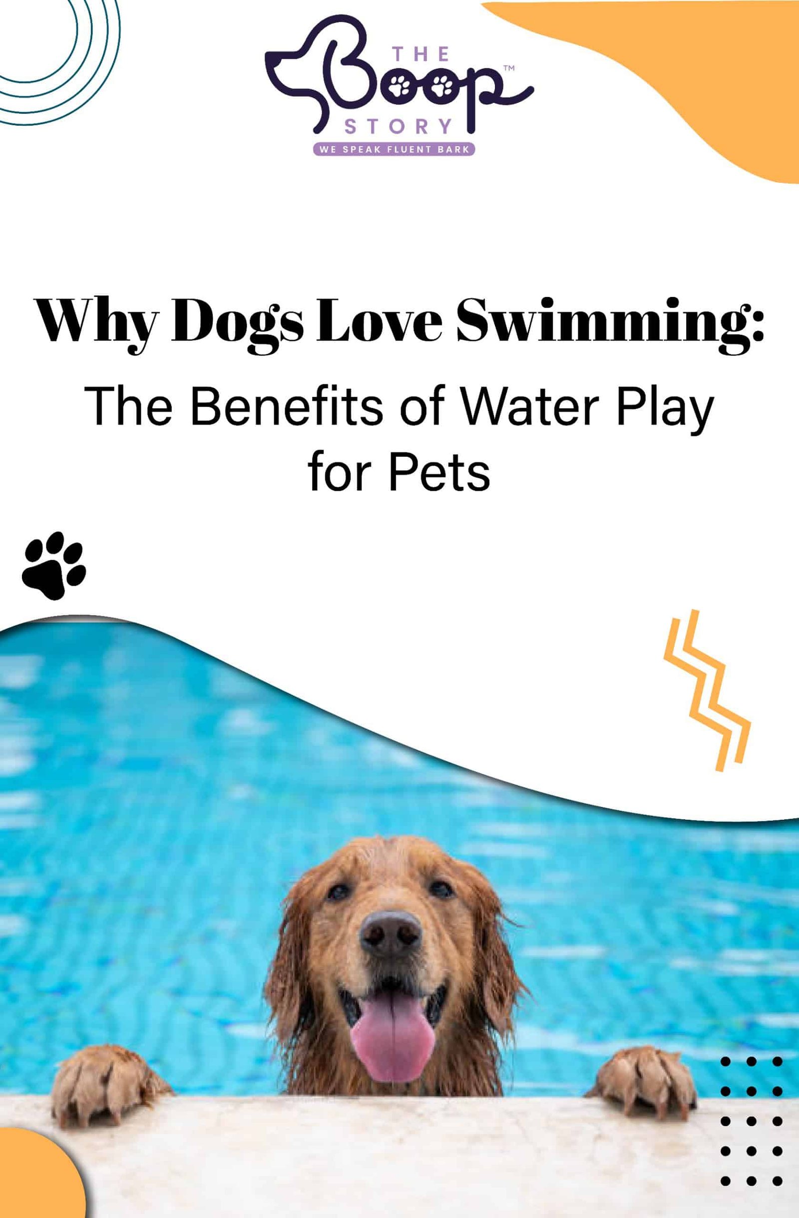 Why Dogs Love Swimming: The Real Perks of Water Play